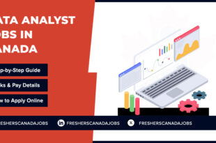 Data Analyst Jobs