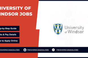 University of Windsor Jobs